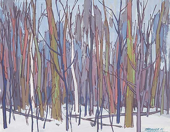 #633 ~ Chatfield - Snow Day