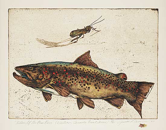 #639 ~ Cowin - Killers of the Bow River [Western Canada Trout Series]  #30/50