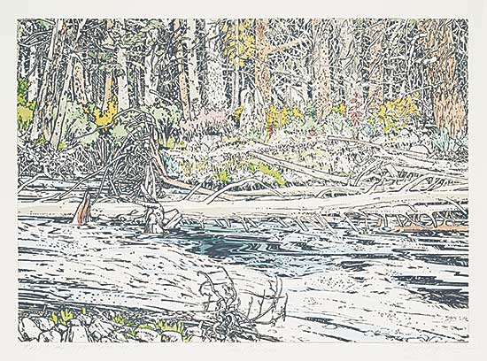 #681 ~ Godwin - Fall on the Crowsnest  #7/25 [Unique]