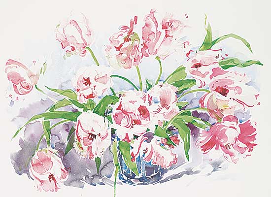 #704 ~ Hathaway - Emperor Tulips