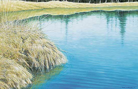 #709 ~ Hillman - Pool of Solitude