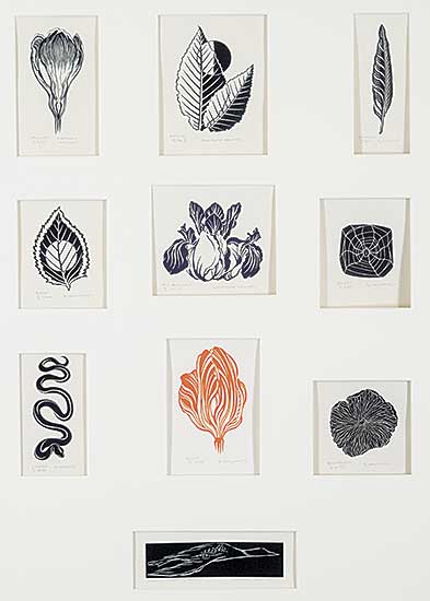 #714 ~ Howard - Untitled - Forest Fauna Collection