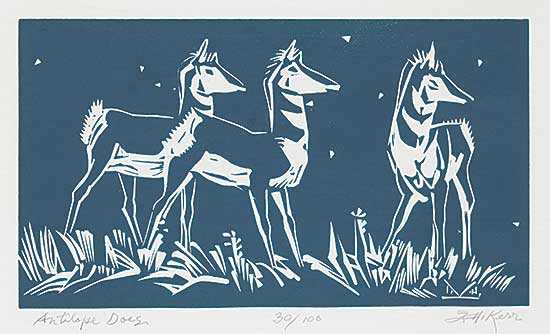 #723 ~ Kerr - Antelope Does  #38/100