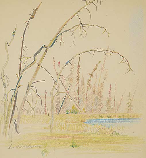 #744 ~ Lindner - Untitled - Trees Beside Reeds