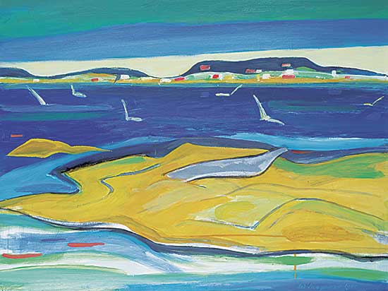 #762 ~ Maynard - Sunlit Rock and Gull #2 [From Clover Point Victoria]