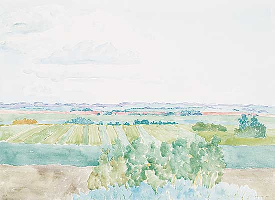#796 ~ Perehudoff - Untitled - Fields in June