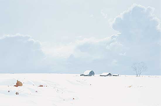 #806 ~ Raftery - Prairie Winter