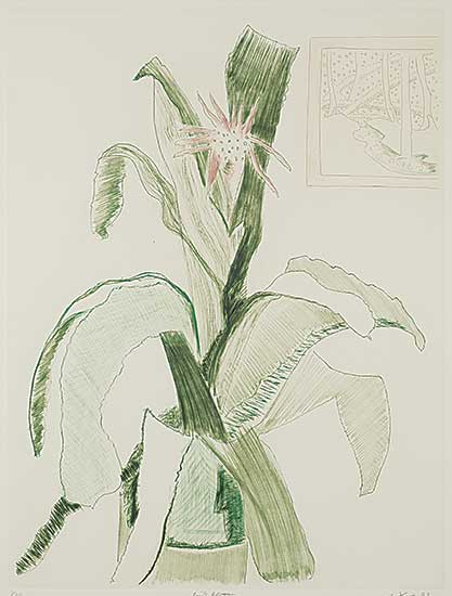 #833 ~ Shives - Pink Blossom  #1/30