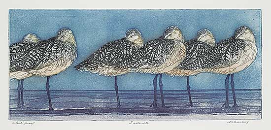 #839 ~ Silverberg - Godwits  #Artist's Proof
