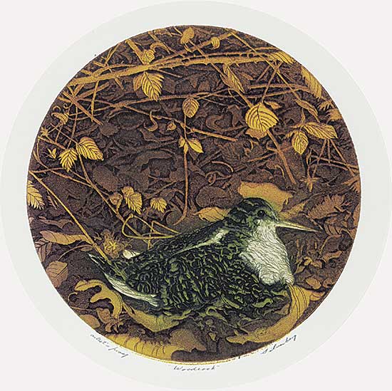 #842 ~ Silverberg - Woodcock  #Artist's Proof