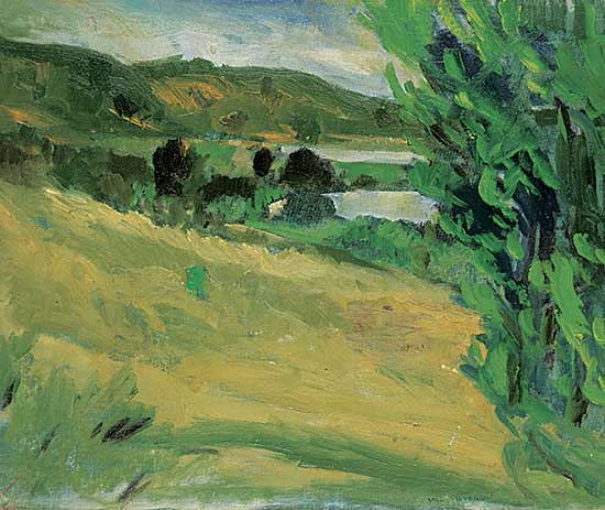 #861 ~ Stevenson - Twin Lakes