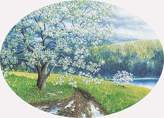 #884 ~ Ward - In Celebration of Spring!