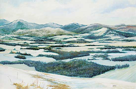 #889 ~ Williams - Foothills - Black Diamond