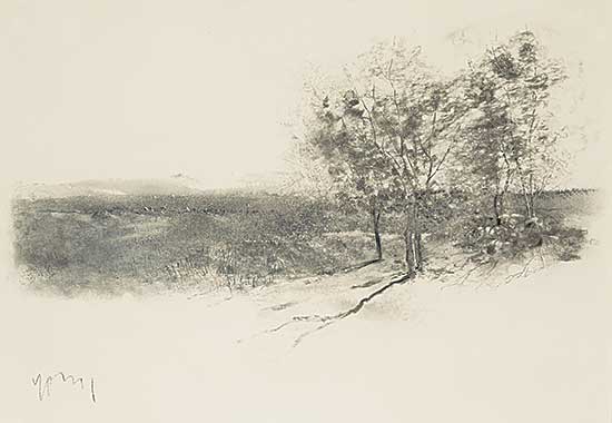#892 ~ Young - Untitled - Small Stand of Trees