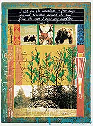 #799 ~ Poitras - 2 See Mother = Earth #39/85 #799 ~ Poitras - 2 See Mother = Earth #39/85