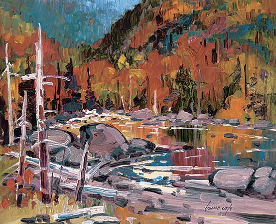 #41 ~ Cote - Reflections