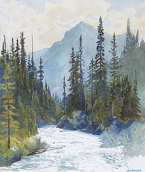 #133 ~ Phillips - Mount Field