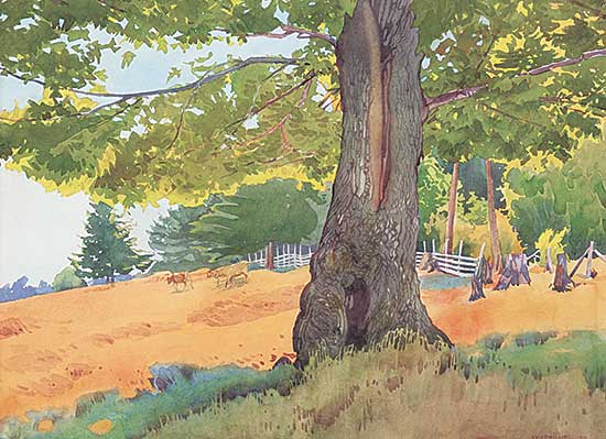 #134 ~ Phillips - Pasture at Saanich, B.C.