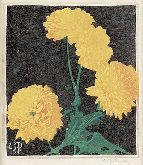 #136 ~ Phillips - Pom Poms