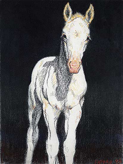 #222 ~ Fafard - White Colt II