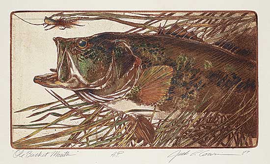 #411 ~ Cowin - Old Bucket Mouth  #A.P.