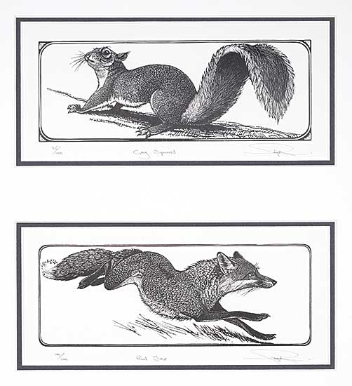 #2304 ~ See-Paynton - Grey Squirrel  #85/100 / Red Fox  #100/100
