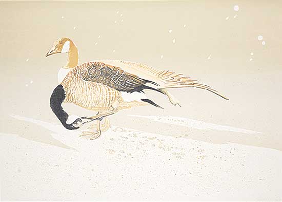 #2334 ~ Tomlinson - New Snow at the Lake - Preening Geese  #21/50