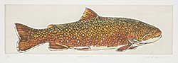 #2056 ~ Cowin - Brook Trout  #7/15