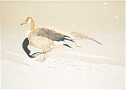#2334 ~ Tomlinson - New Snow at the Lake - Preening Geese  #21/50