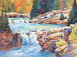 #2371 ~ Williams - Elbow Falls Splendor