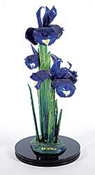 #2373 ~ Wilson - Three Blue Irises II