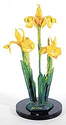 #2374 ~ Wilson - Three Golden Irises II