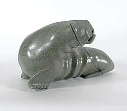 #2147 ~ Temela - Untitled - Bellowing Walrus