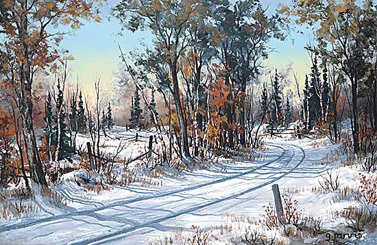 #74 ~ Jarvis - Winter Road