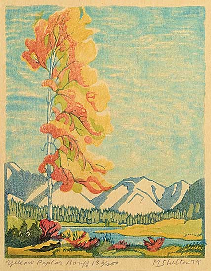 #475 ~ Shelton - Yellow Poplar, Banff  #136/200