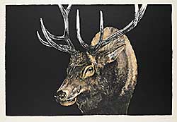 #406 ~ Cowin - Untitled - Portrait of an Elk  #A/P