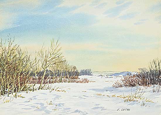 #1255 ~ Luthi - Untitled - Serene Winter