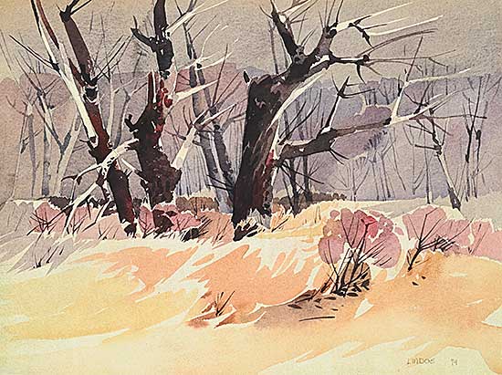 #1188 ~ Lindoe - Untitled - Winter Forest Gradient