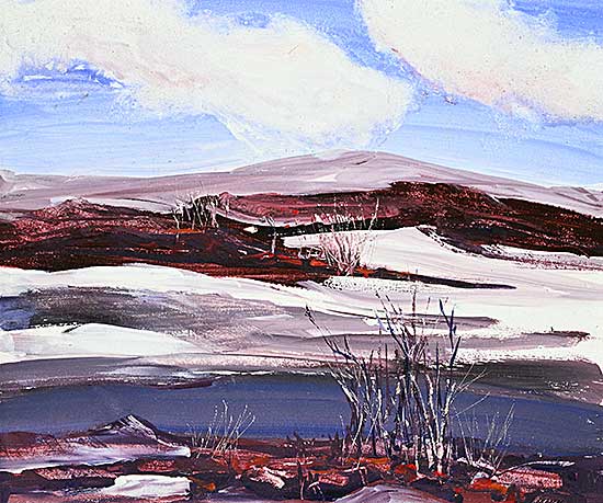 #1267 ~ Richards - Winter Landscape
