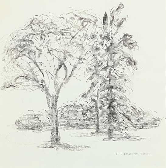 #1321 ~ Taylor-Lindoe - Trees