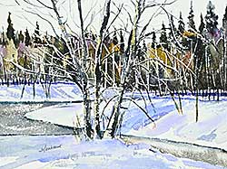 #1218 ~ Middlebrook - Birches at Little Red