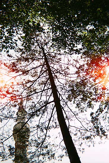 #2040 ~ Tasdelen - Shifting Shades  #2/5