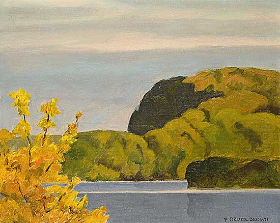 #2142 ~ Brown - North From Lake Vernon