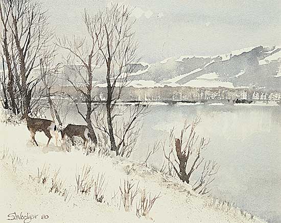 #2417 ~ Woolgar - Untitled - A Winter Wander