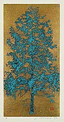 #2237 ~ Hoshi - Tree #2237 ~ Hoshi - Tree