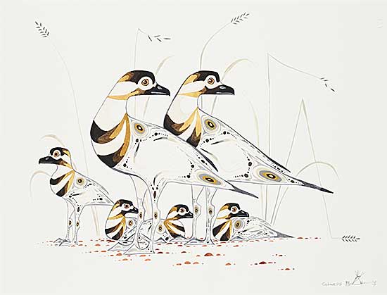 #1145 ~ Cobiness - Untitled - Birds & Young #1145 ~ Cobiness - Untitled - Birds & Young