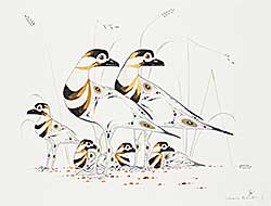 #1145 ~ Cobiness - Untitled - Birds & Young #1145 ~ Cobiness - Untitled - Birds & Young