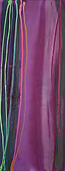 #1589 ~ Thomson - Primavera #1589 ~ Thomson - Primavera