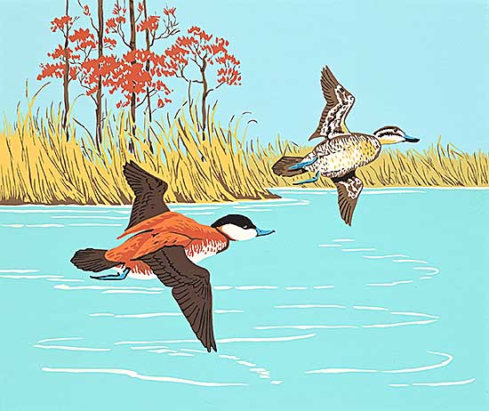 #2054 ~ Casson - Untitled - Ducks in Flight #2054 ~ Casson - Untitled - Ducks in Flight