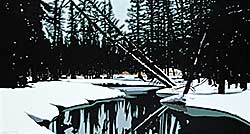 #2143 ~ Hinton - Oasis of the Beaver #37/75 #2143 ~ Hinton - Oasis of the Beaver #37/75